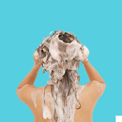 Collection image for: Shampoos