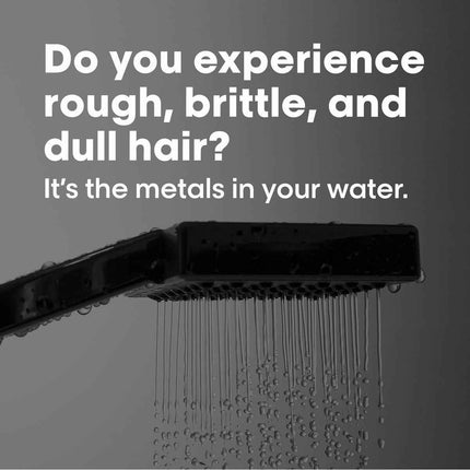 Purifying Shampoo L'Oréal Paris E3548700 300 ml