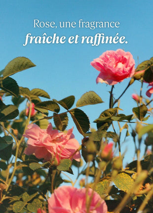 V5H7F304C90729A7639749E5EC8B6A06A34R6240736P2