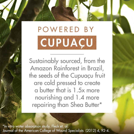 Shampoo Phyto Paris RÉPARATION 400 ml