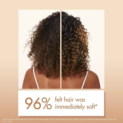 Shampoo Phyto Paris RÉPARATION 400 ml