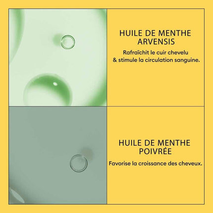 V3H3D05A0AC95CDF0CC80C20380DFE8E3CDR7509596P4