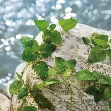 V3H6ED753EBA438E6D84501FD1AC40701D4R7528043P9