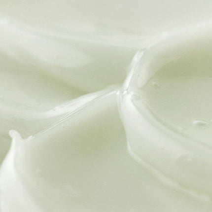 V3H52E6F7EC11925E65B36FC072FCD7D7A5R7528384P5