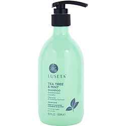 Tea Tree & Mint Shampoo 16.9 Oz